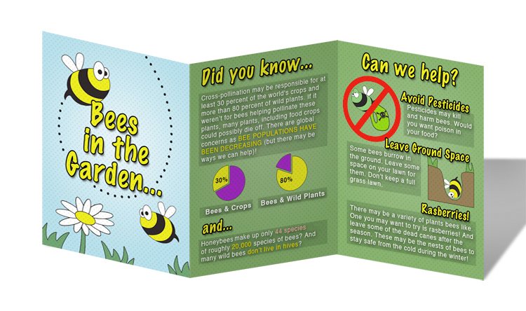 Bee Brochure Project